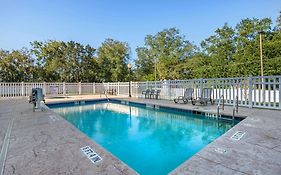 Comfort Inn Suites Ocala Fl